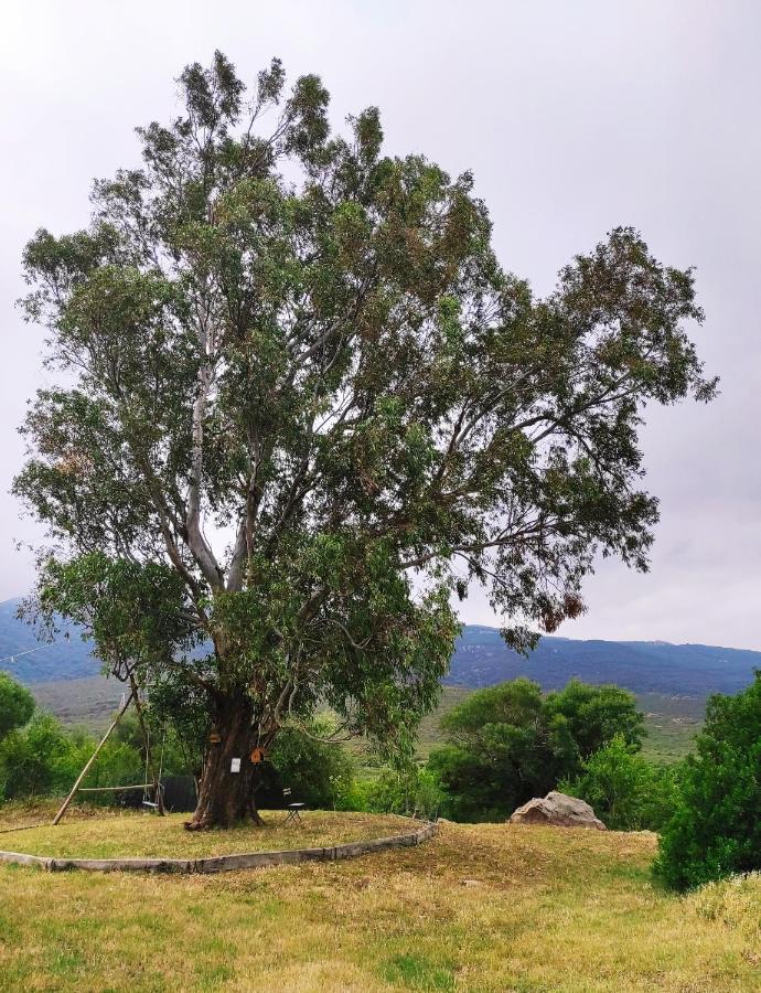 Complejo Rural Del Molino Dorado Villa ฟาซินาส ภายนอก รูปภาพ